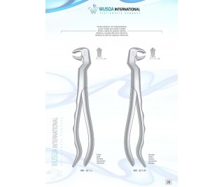 Extracting Forceps